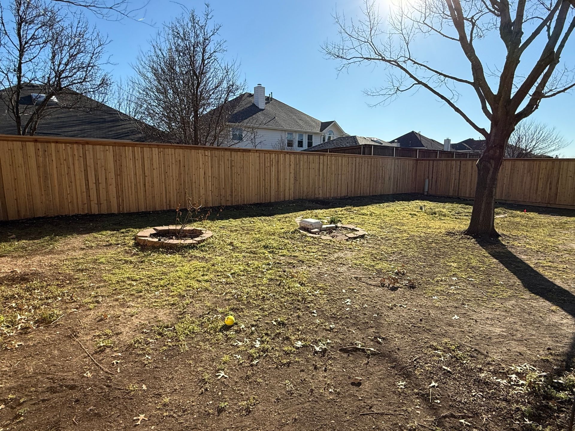 A sunny backyard with dry grass, two small circular garden beds, a wooden fence, and a large tree on the right side.