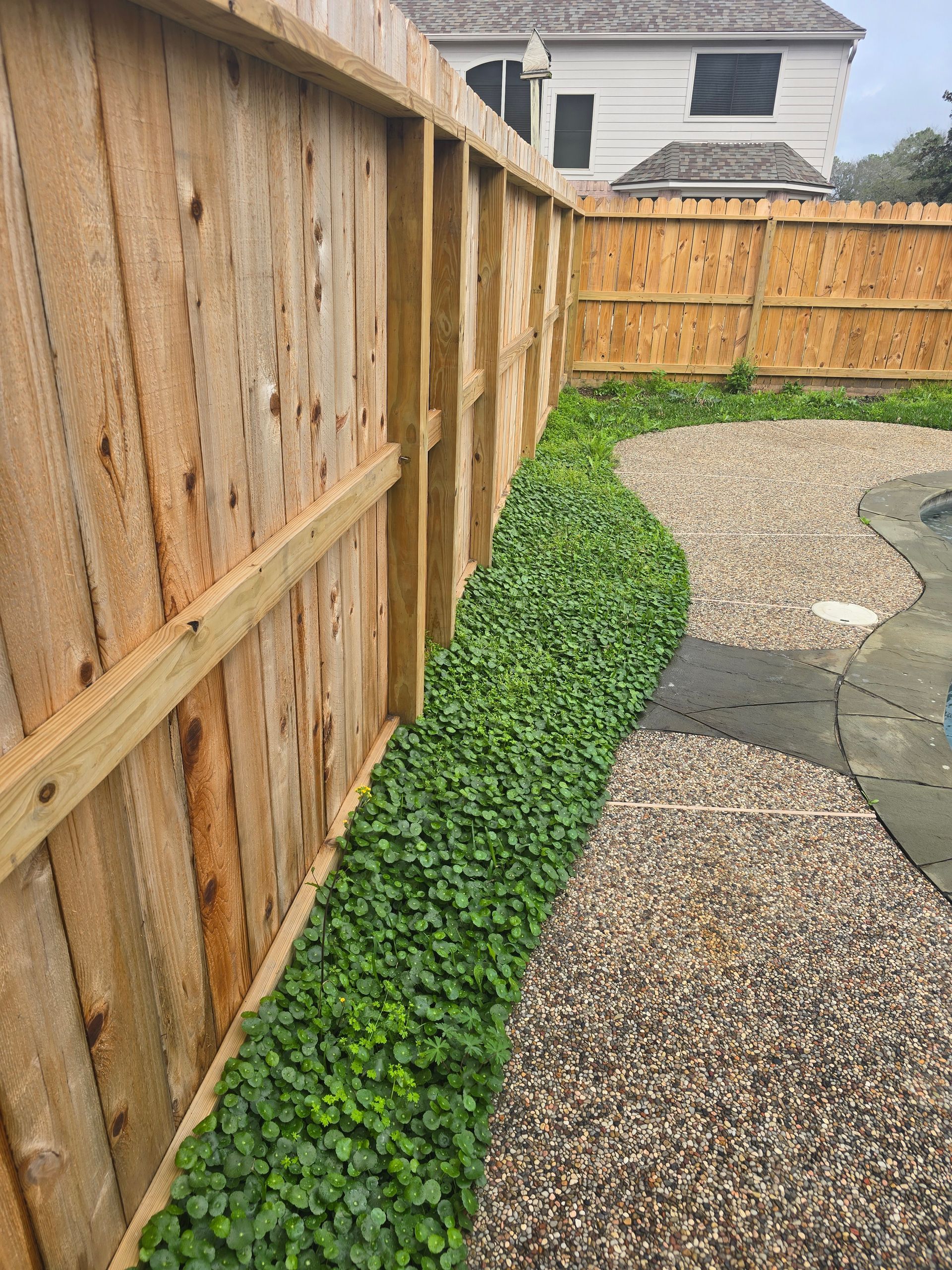 Wooden fence with a border of green creeping plants beside a pebble path.