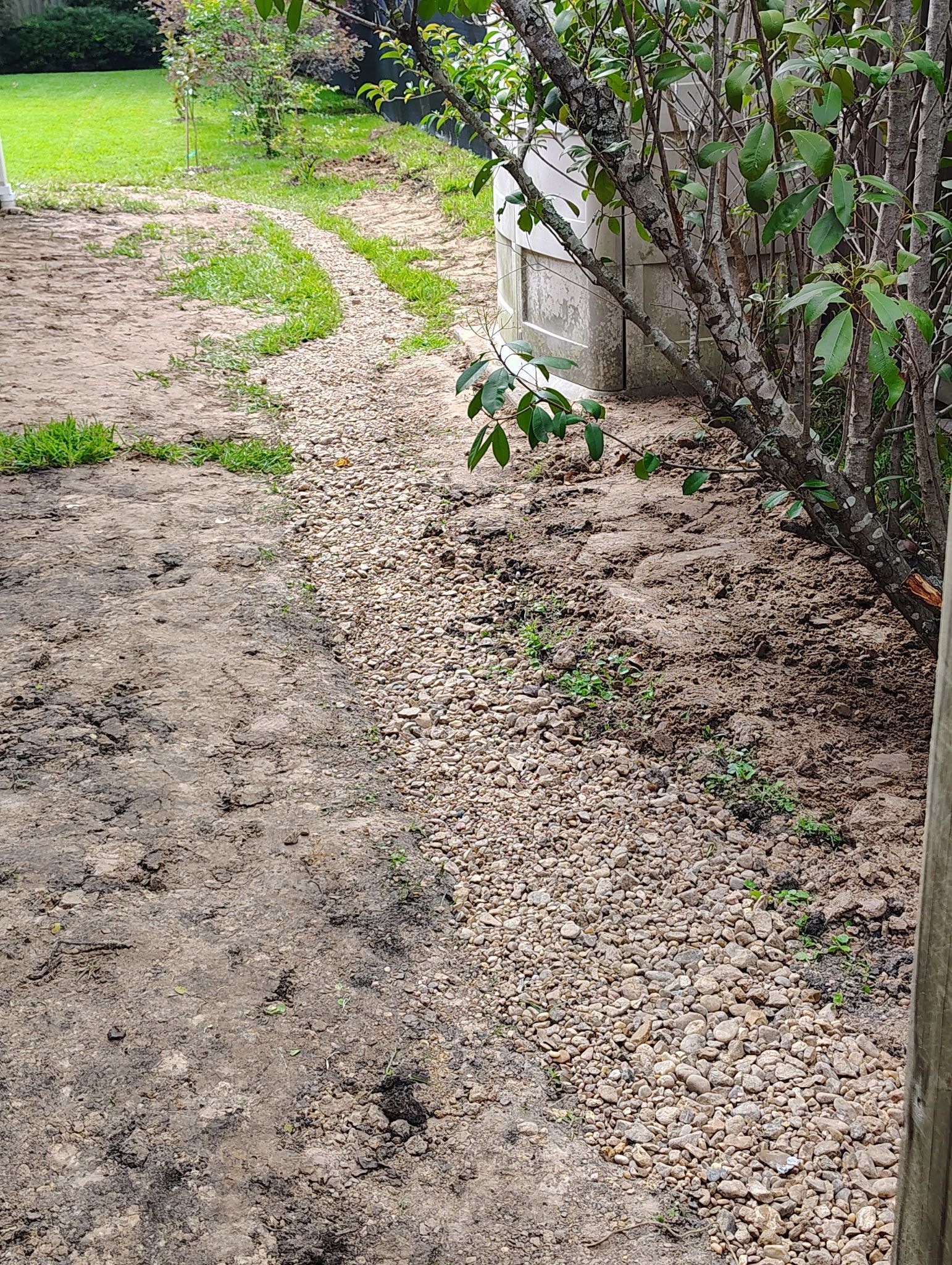 Path of dirt and gravel beside a hedge and a grassy area.