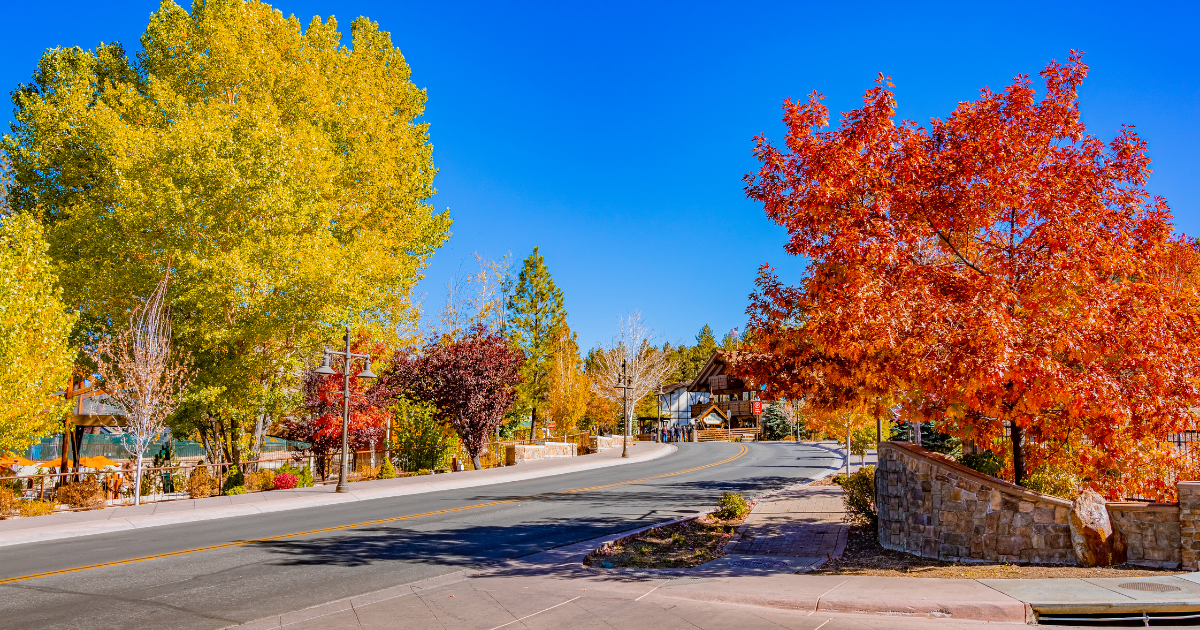 Fall foliage along the Village in Big Bear Lake Fall foliage along the Village in Big Bear Lake