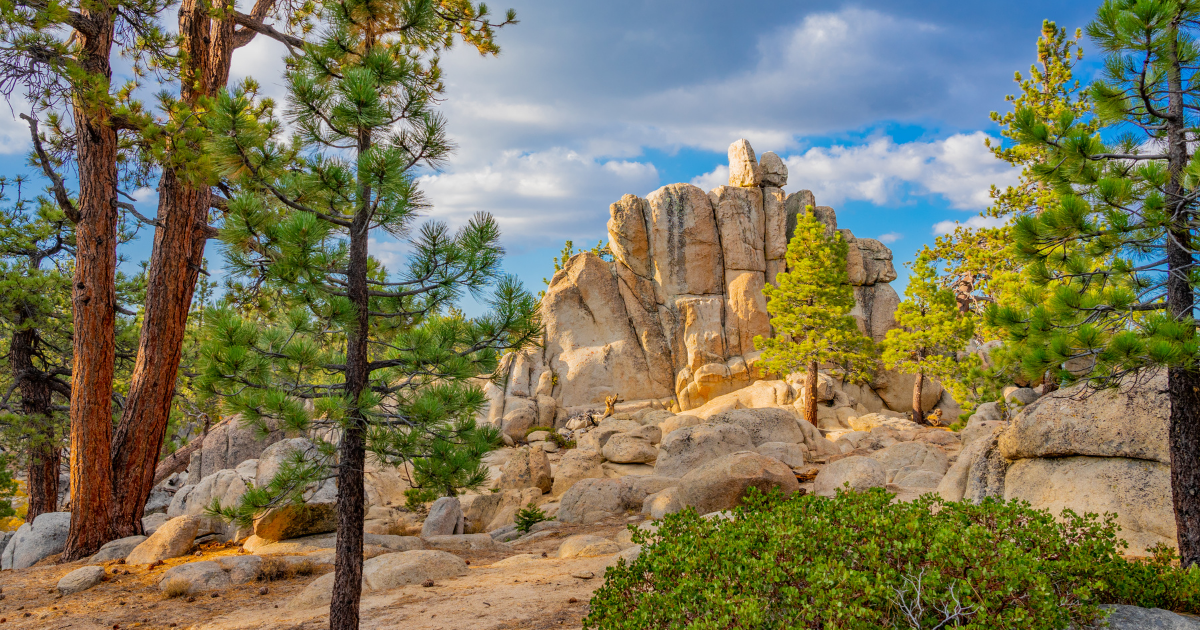 Castle Rock Trail in Big Bear