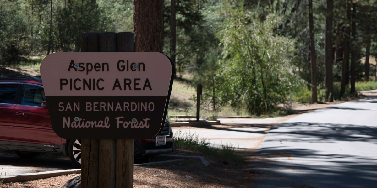 Snowy forest recreation area