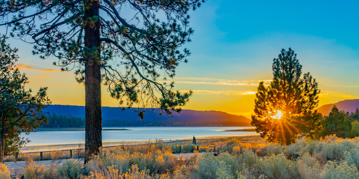 Sunrise over a lake with pine trees and golden light reflecting on calm water