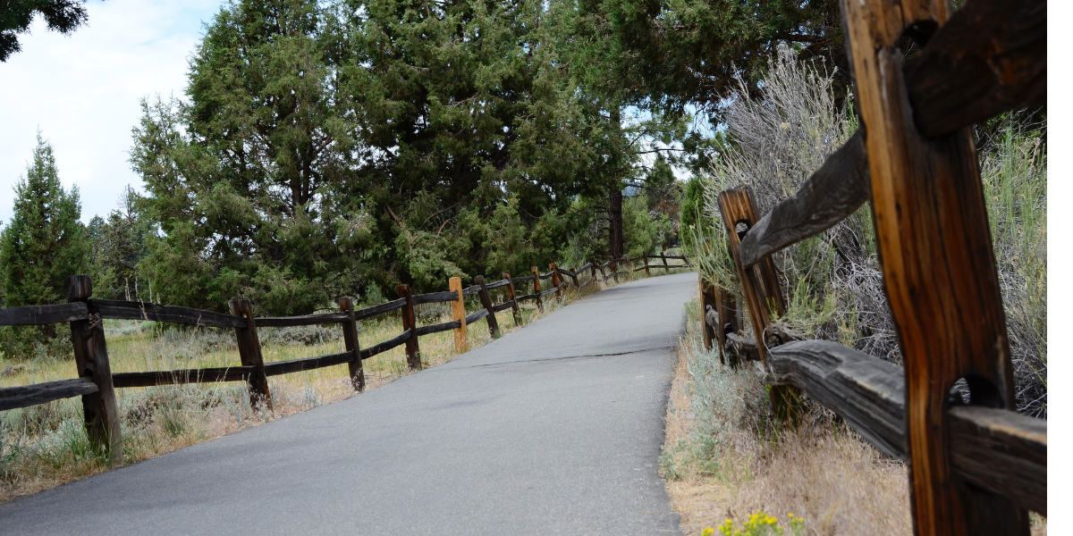 Paved Alpine Pedal Path trail curving through trees beside a wooden fence in a wooded area