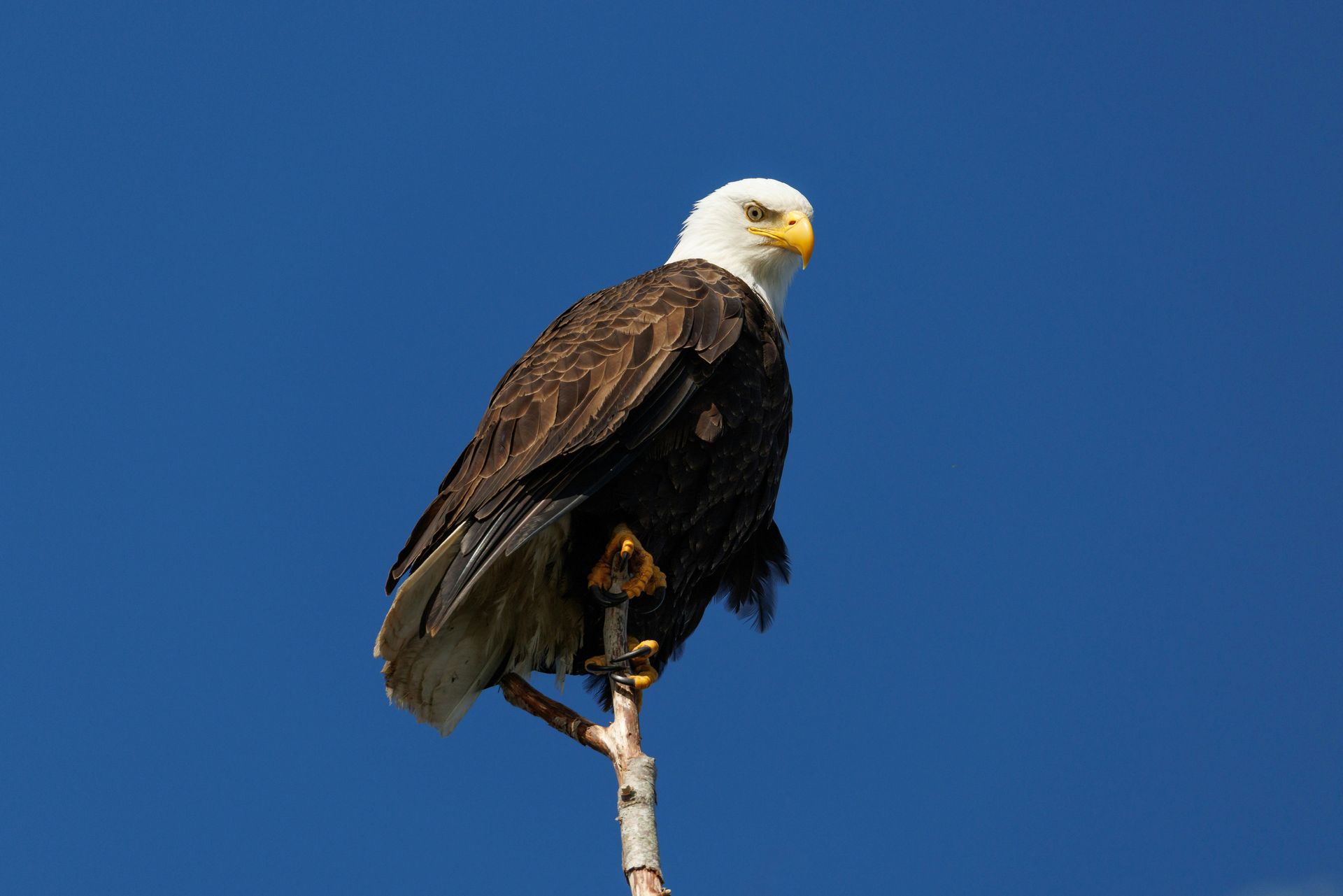 Wildlife & Nature