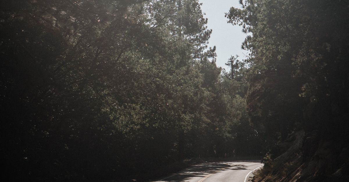 Road cycling in the Big Bear Valley