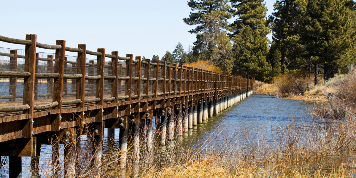 Stanfield Marsh Boardwalk
