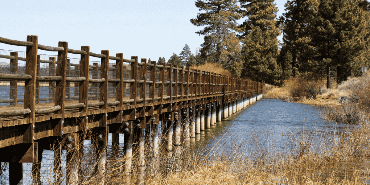 Marsh Boardwalk