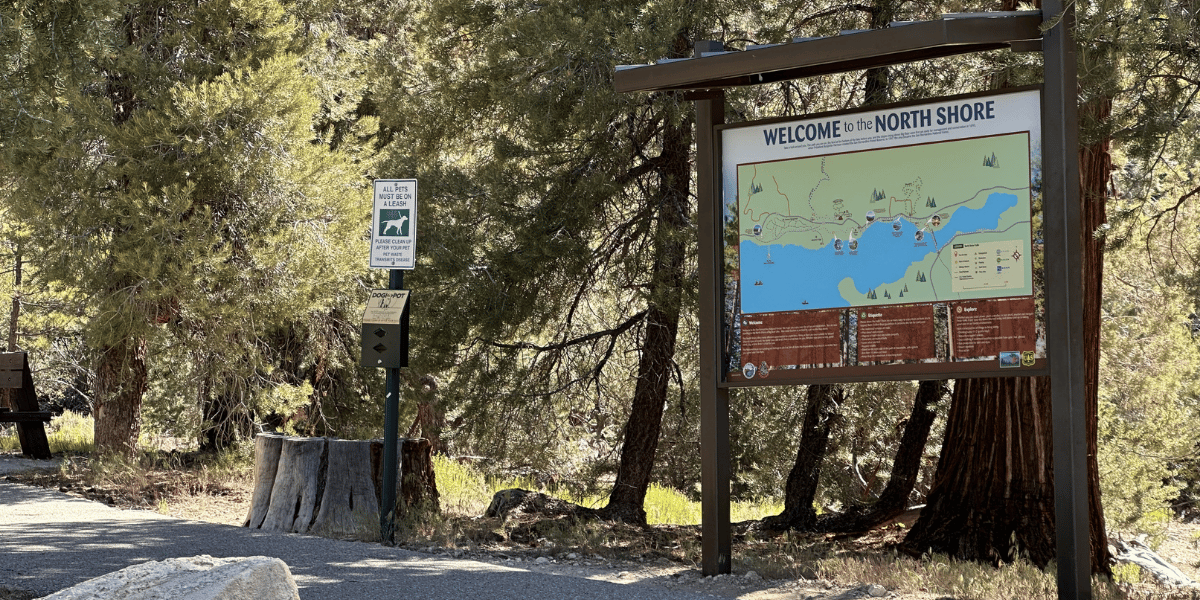 Woodland Interpretive Trailhead sign beside a wooded path with a map and posted notices