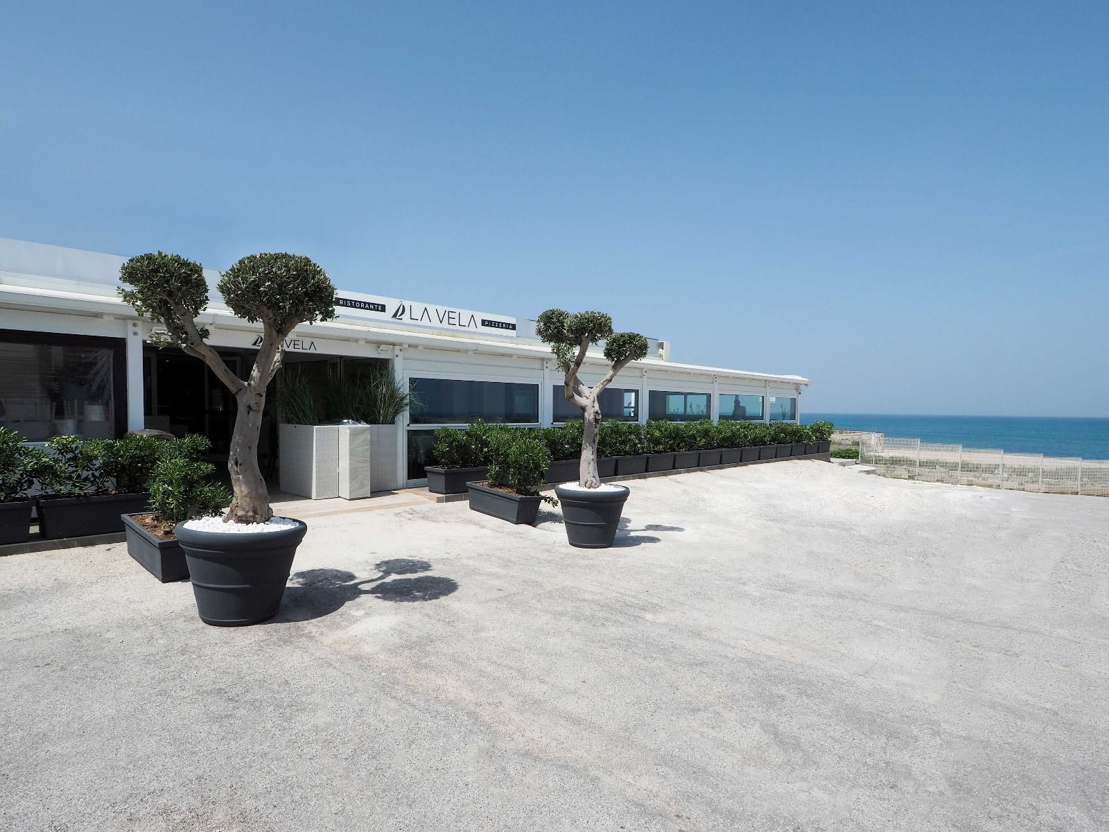 Terrazza del ristorante sul mare con piante in vaso e vista sull'oceano.