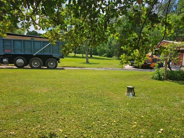 Sunny yard with a large blue dump trailer, green lawn, and trees in the background