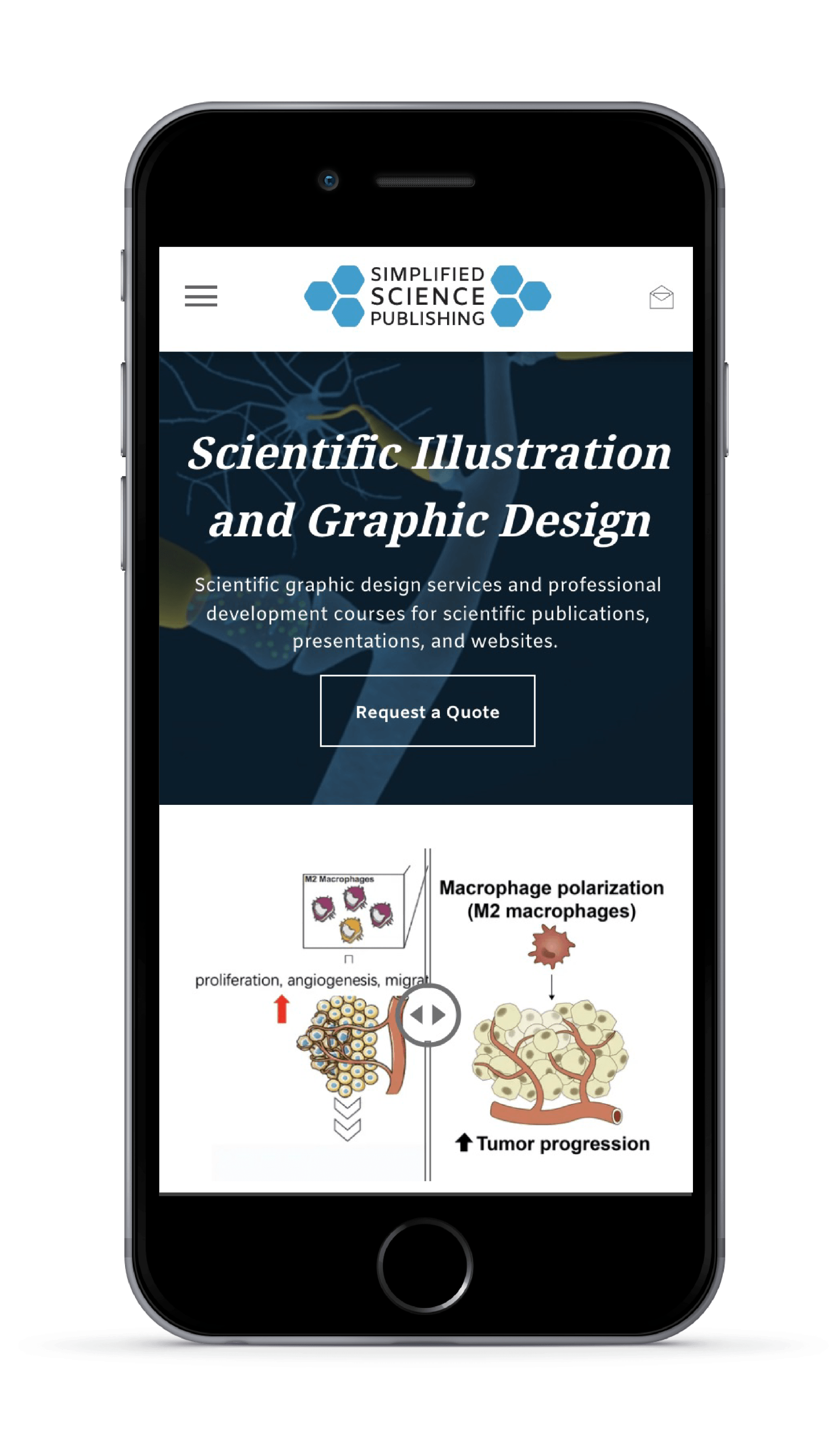 Global SEO website example