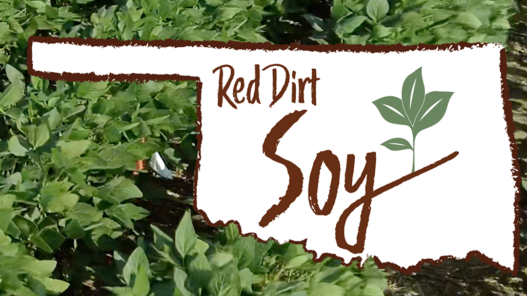 Red Dirt Soy logo on white sign over green leaves, with a soybean sprout icon