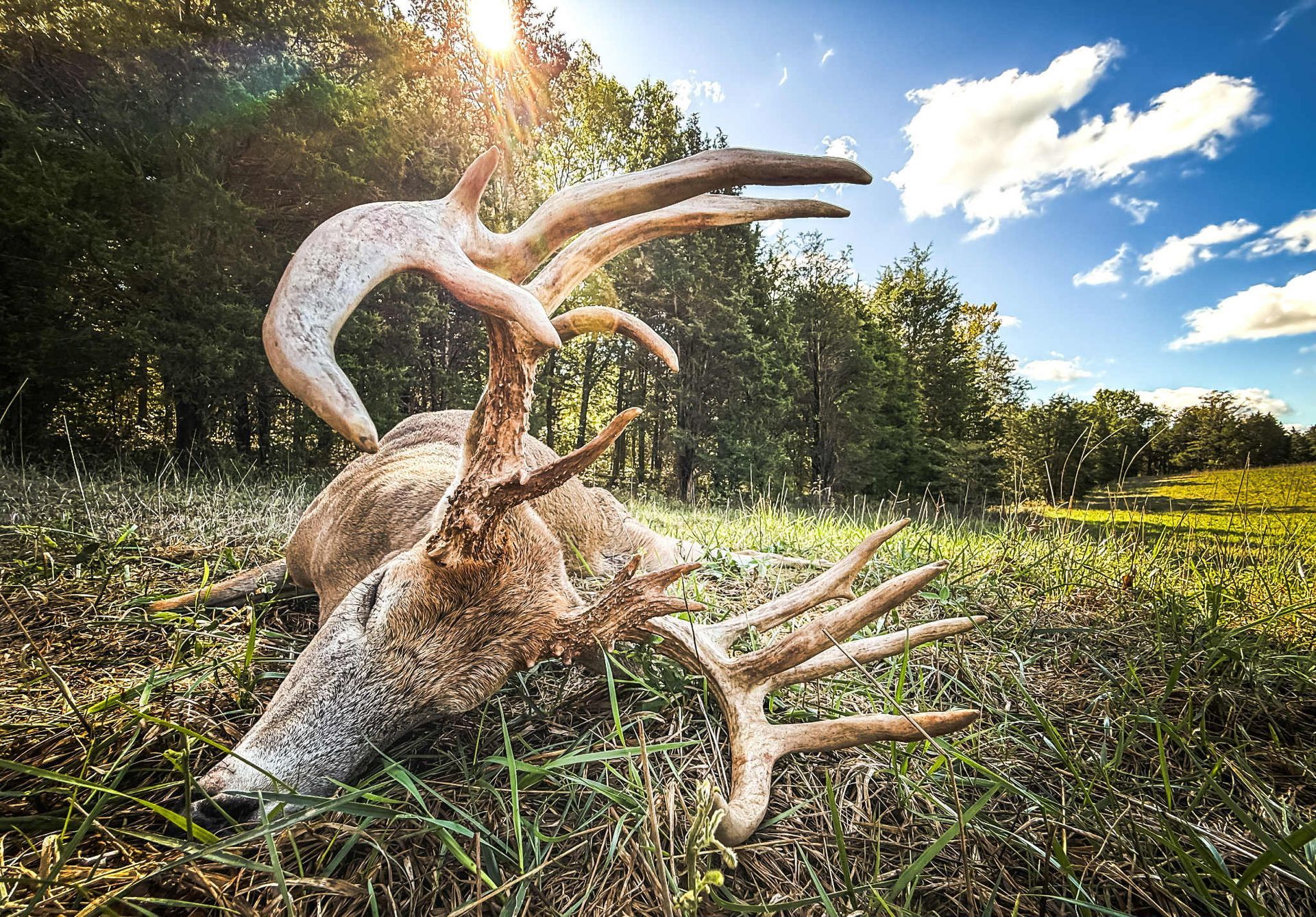 thermal drone deer recovery in adams county