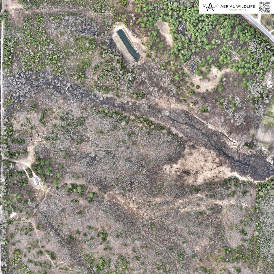 aerial maps for deer hunting