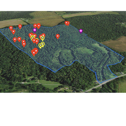 Drone Deer Recovery herd analysis
