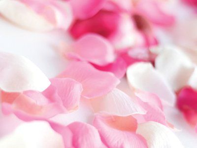A Pink Petals — Mount Kisco, NY — Relaxation Spa