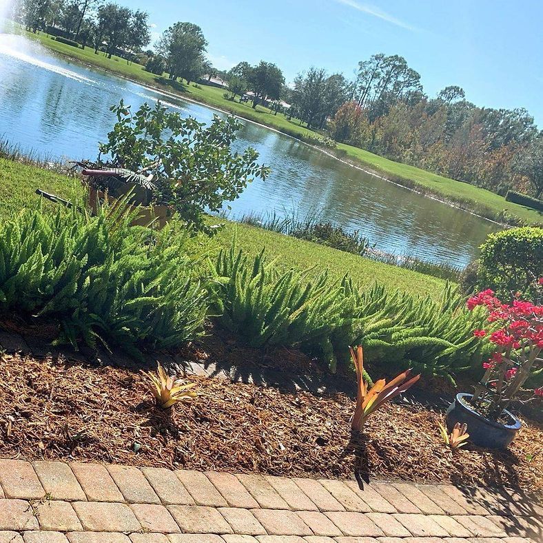 Lush green bushes line a brick walkway overlooking a pond with a fountain on a sunny day.