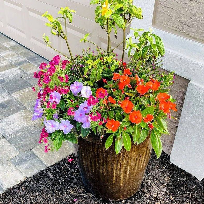 Flower Pot
