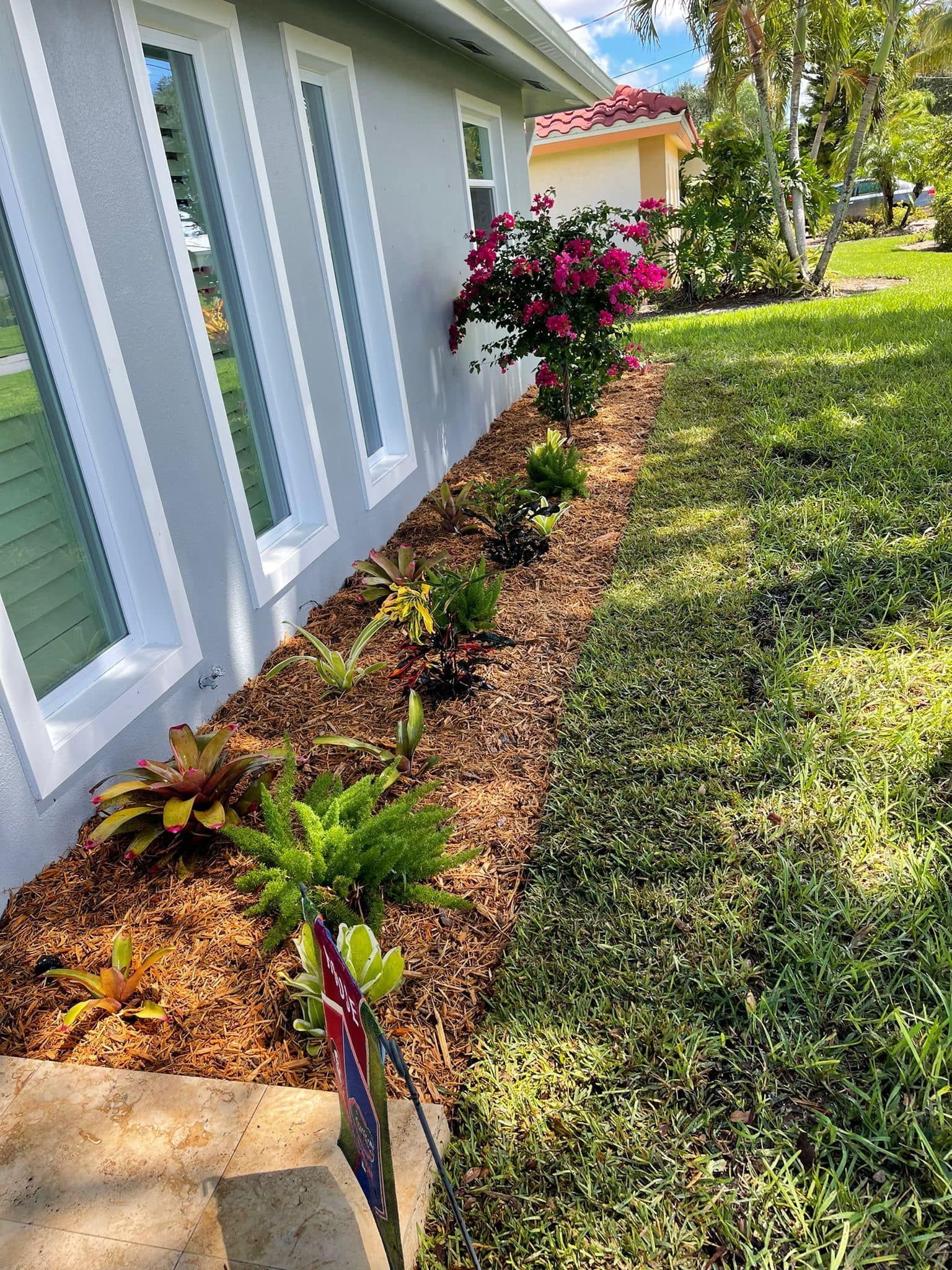 A landscaped flower bed with mulch, various plants, and a vibrant pink bougainvillea next to a light gray house.