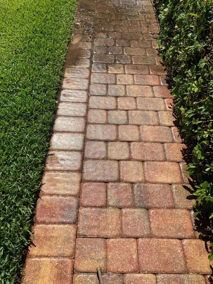 A brick walkway, partially cleaned, borders green grass and a green bush.
