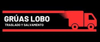 LOBO LOGISTICS GROUP