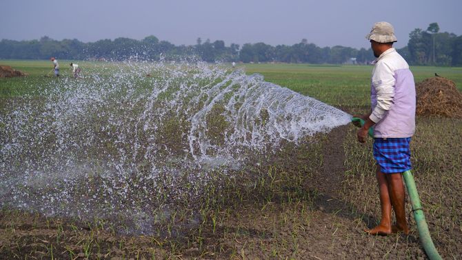 A person stands in a field watering crops by hand using a high-pressure hose, creating a wide spray of water.