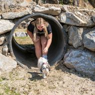 Girl playing with small dog at dog park
