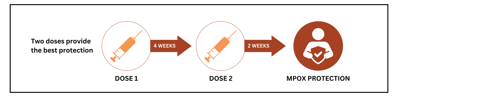 Vaccination process: dose 1, then dose 2, then complete protection is achieved.