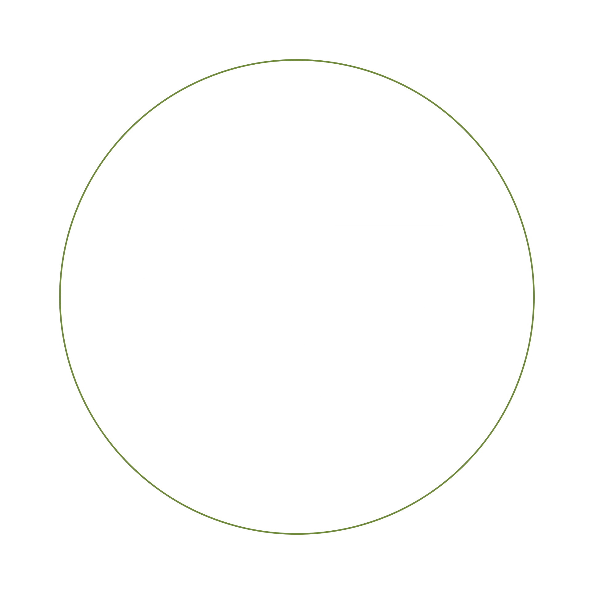 A thin, yellow-green circle on a white background.