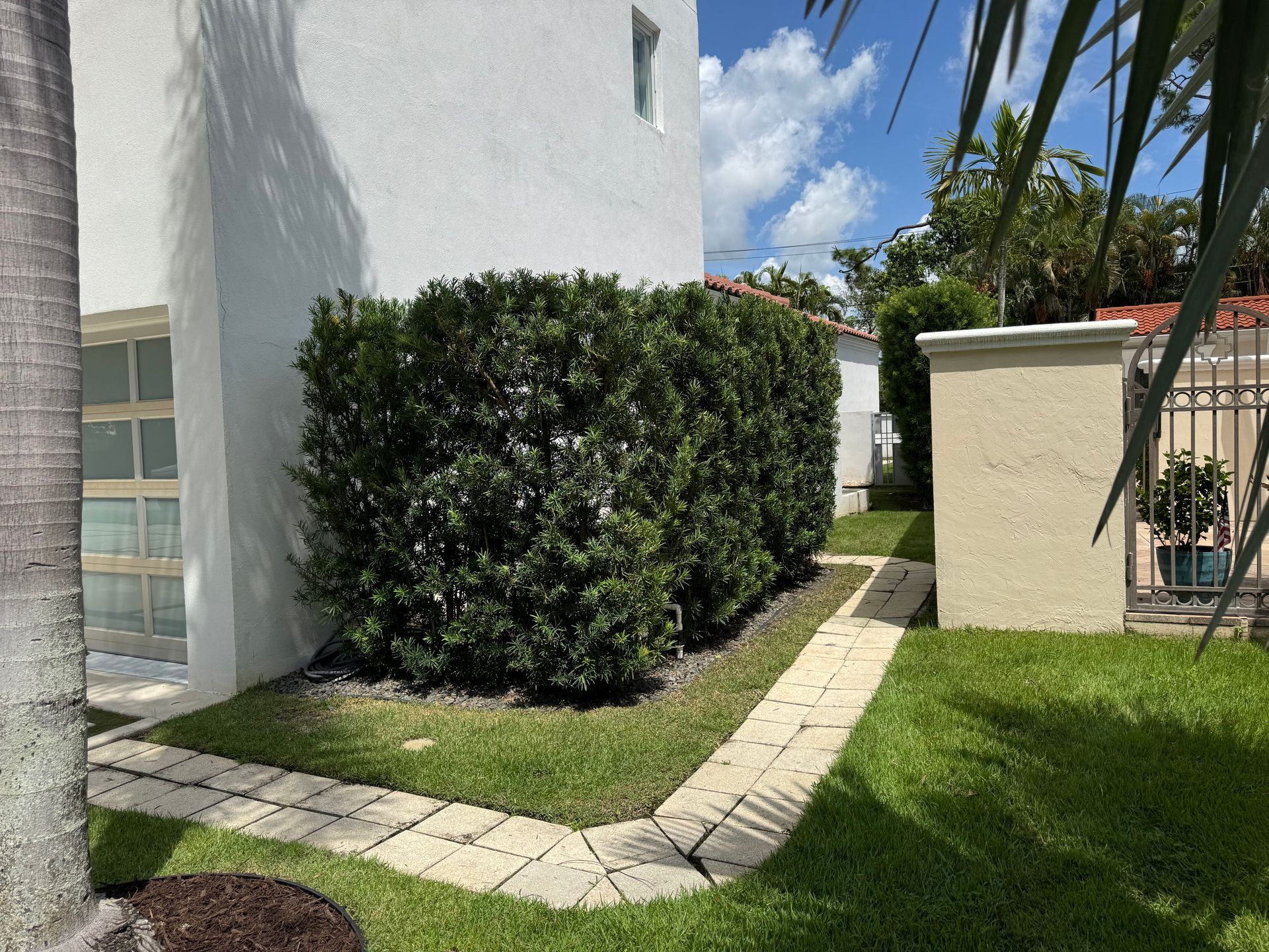 White building corner with trimmed hedge, stone walkway, and green lawn under a sunny blue sky