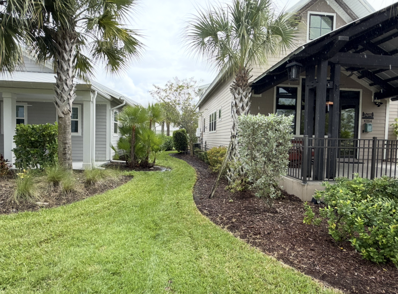 Lush garden path between two white houses with palm trees and shrubs after rain
