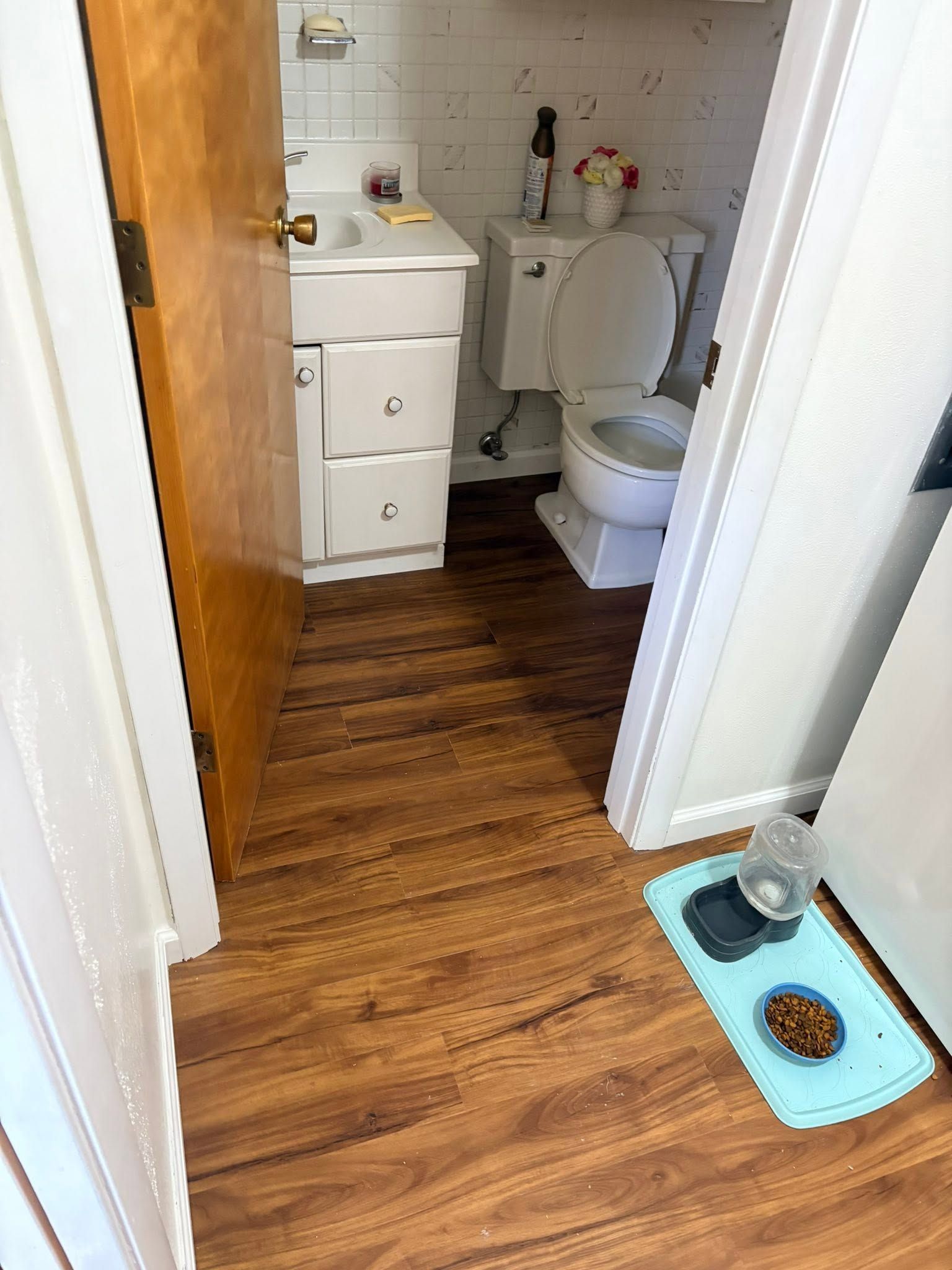 Small bathroom with wood-look floor, white sink and toilet, and a pet food mat in the doorway.