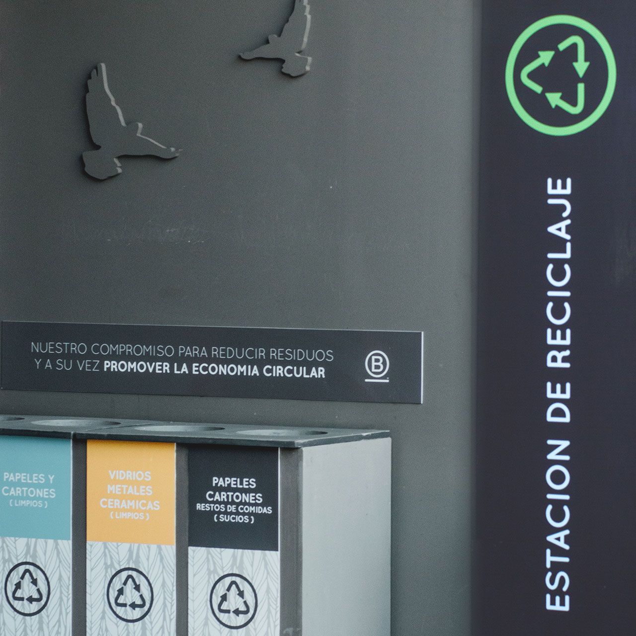 Estación de reciclaje con contenedores etiquetados y símbolo verde de reciclaje en una pared oscura.