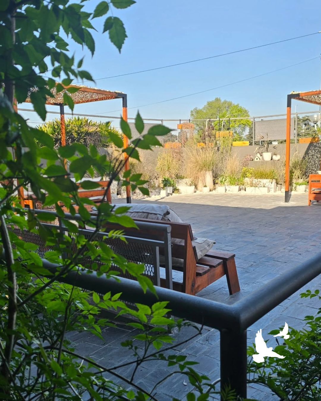 Patio trasero con silla de madera, plantas en macetas y un cielo azul despejado.