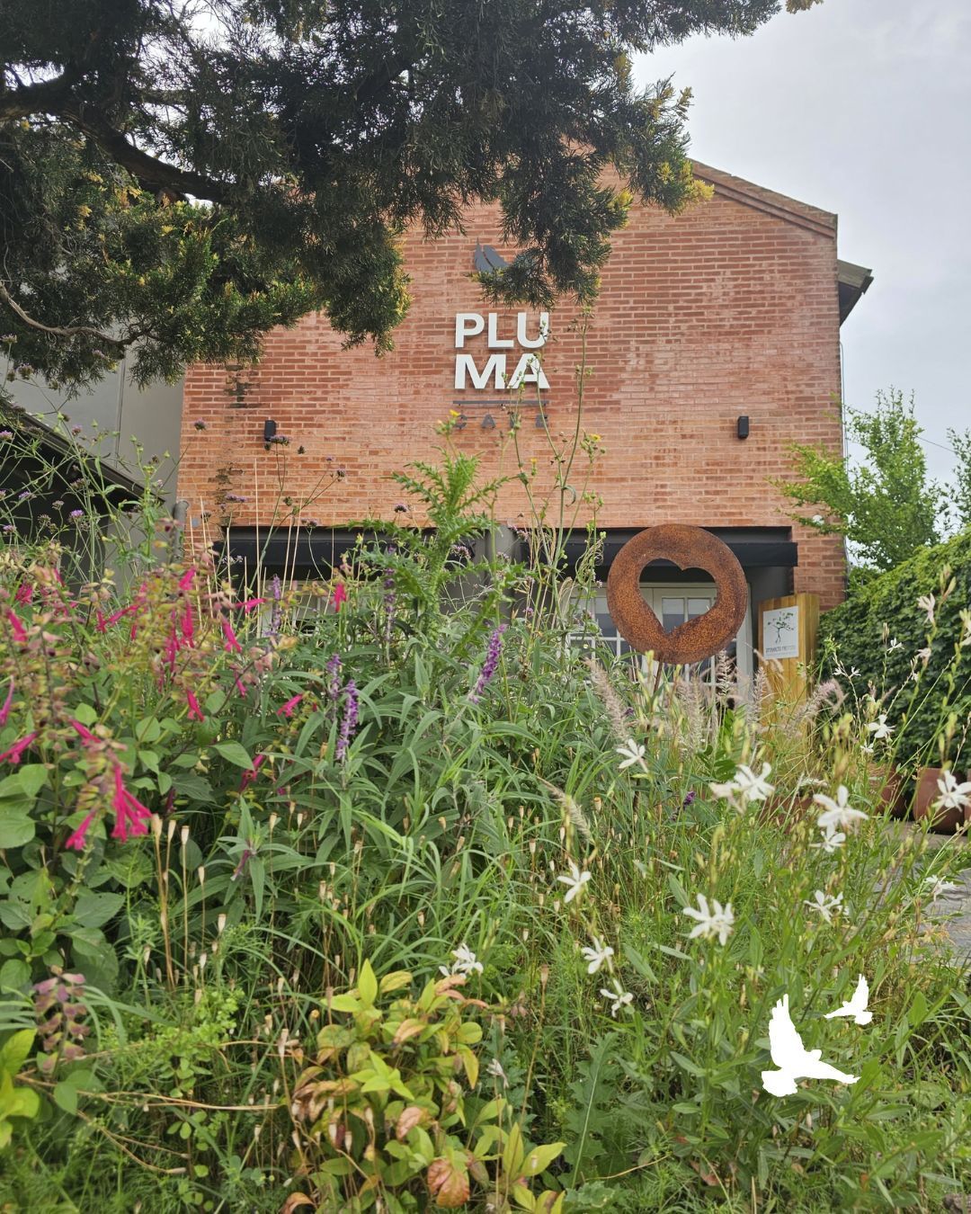 Edificio de ladrillo con el letrero de PLUMA detrás de altas flores silvestres y vegetación.
