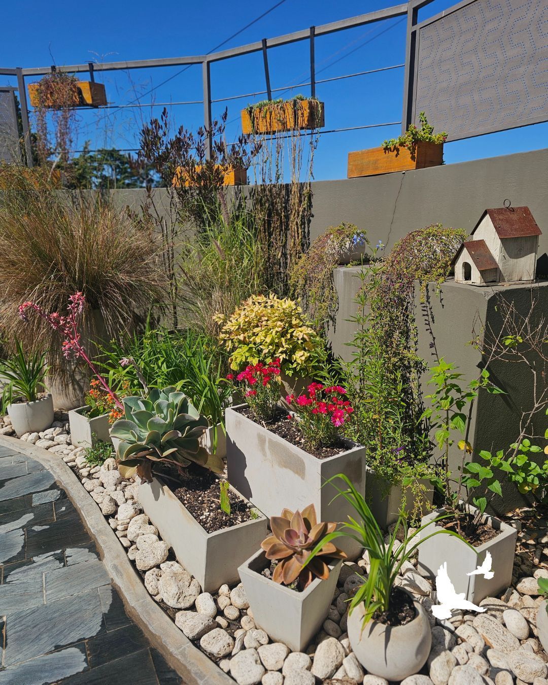Macetas con flores y suculentas en un jardín rocoso soleado junto a una piscina, con una pequeña casita para pájaros como elemento decorativo.