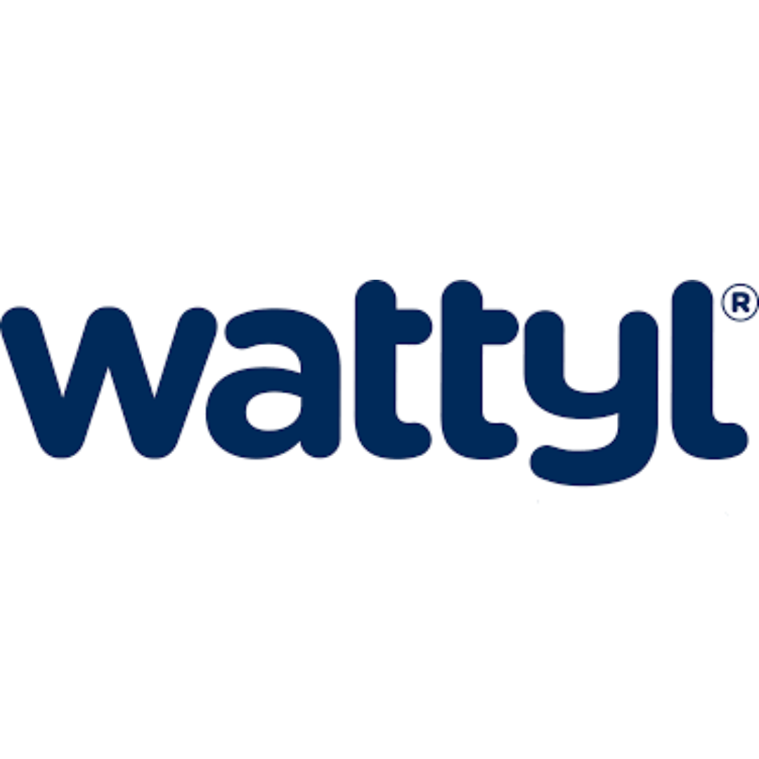 Wattyl Paint
