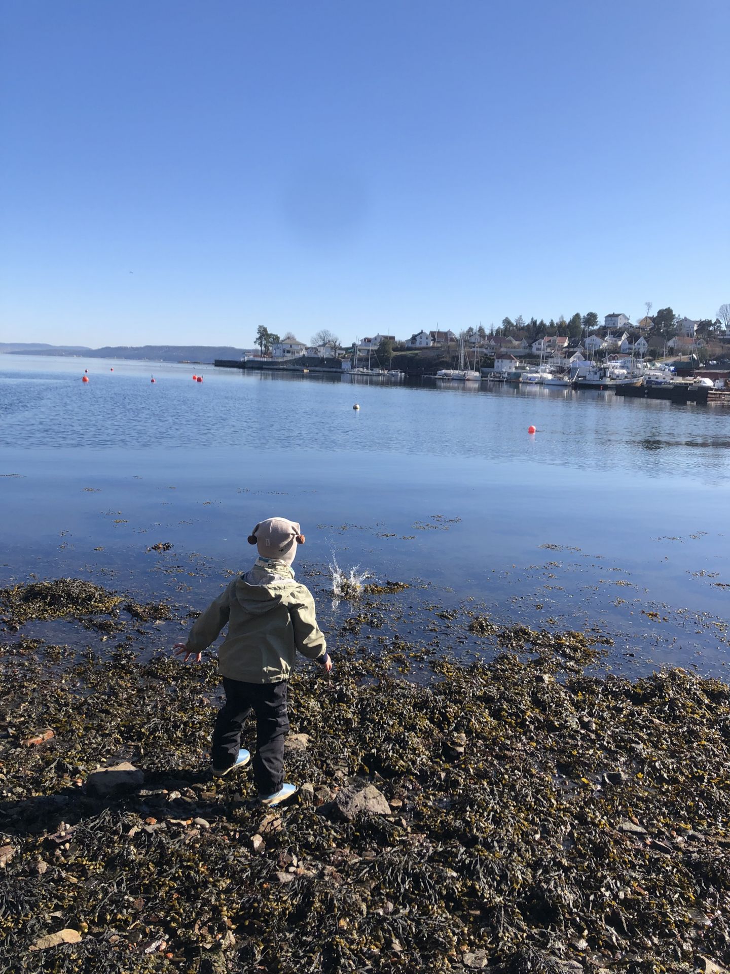 Nærsnes Barnehage går mange fine turer til stranda hvor vi fiske krabber og koser oss.