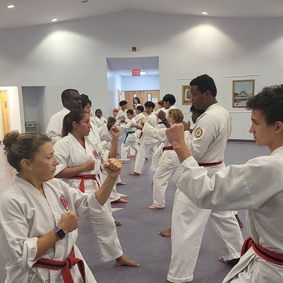 adult martial arts
