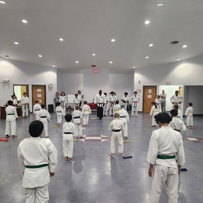 kids martial arts