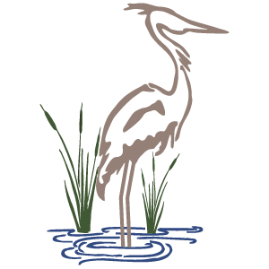 A drawing of a Heron bird standing in the water