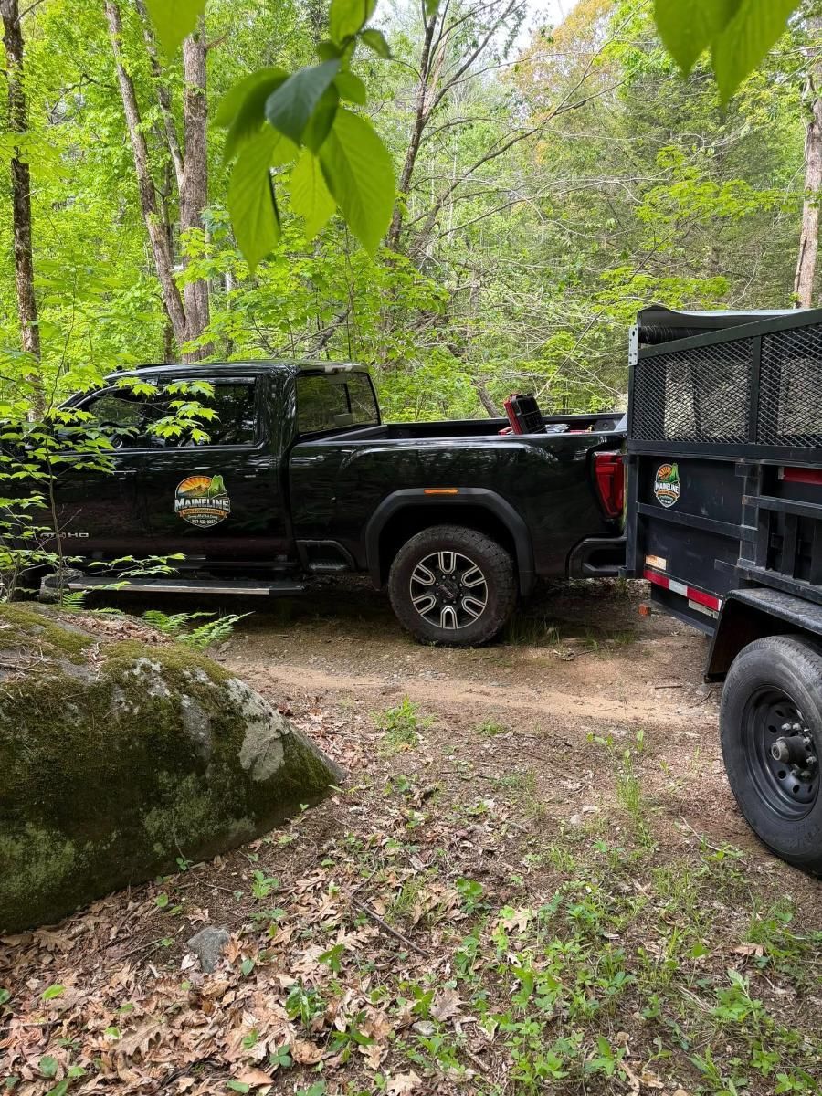 Black pickup truck and dark utility vehicle parked on a wooded trail in a forest.