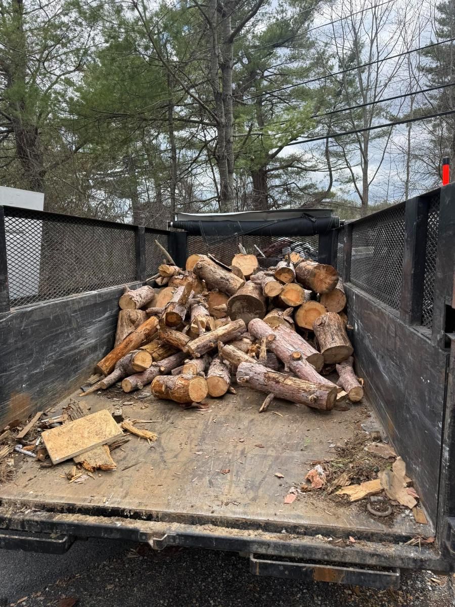 Truck bed loaded with cut firewood logs on a dirt driveway, with trees in the background