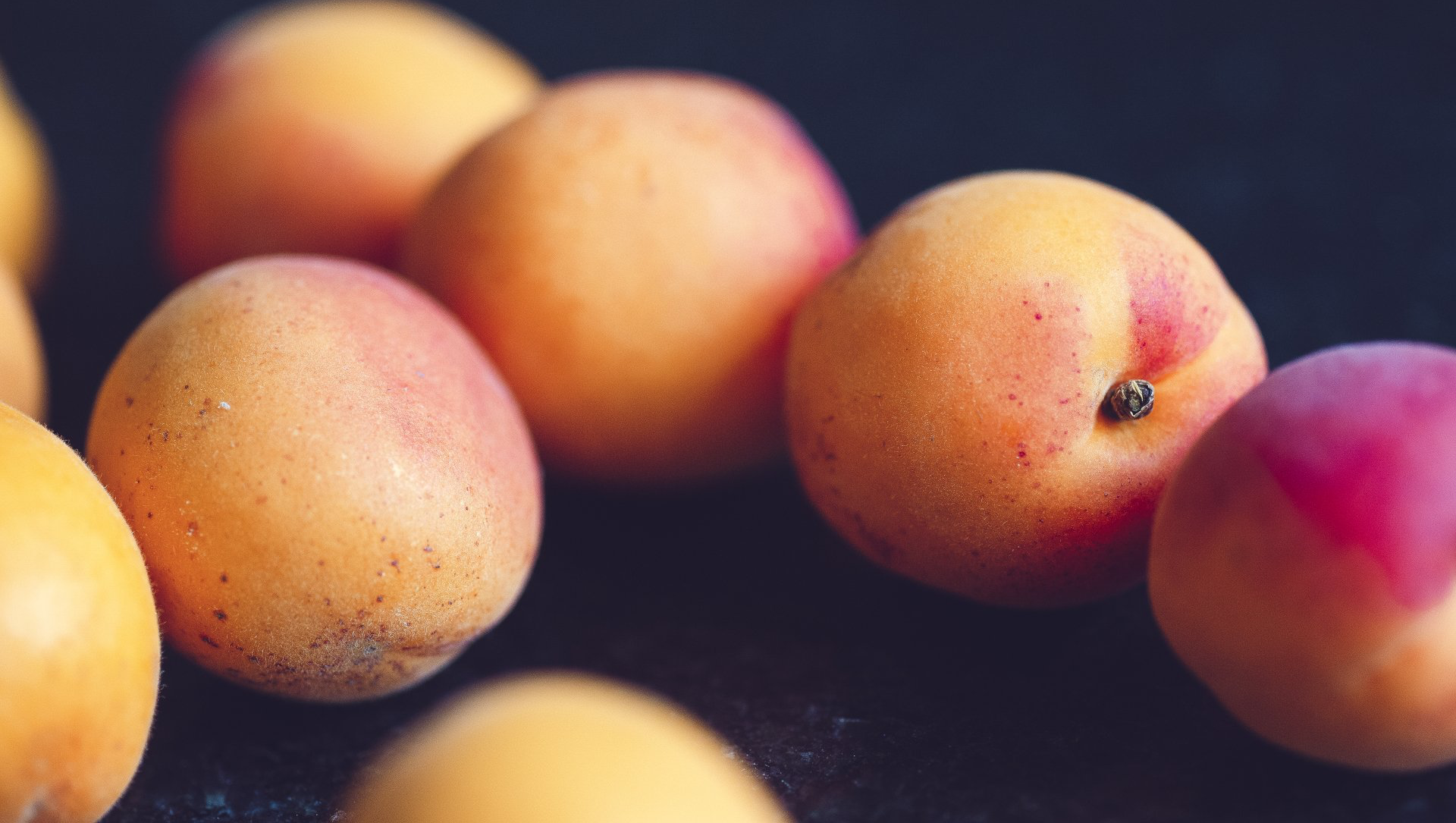 Peaches on display in a double wide manufactured home dealer’s office near Clanton, AL