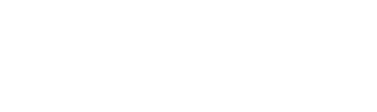 Mostly blank white image with a thin black horizontal line near the lower middle.