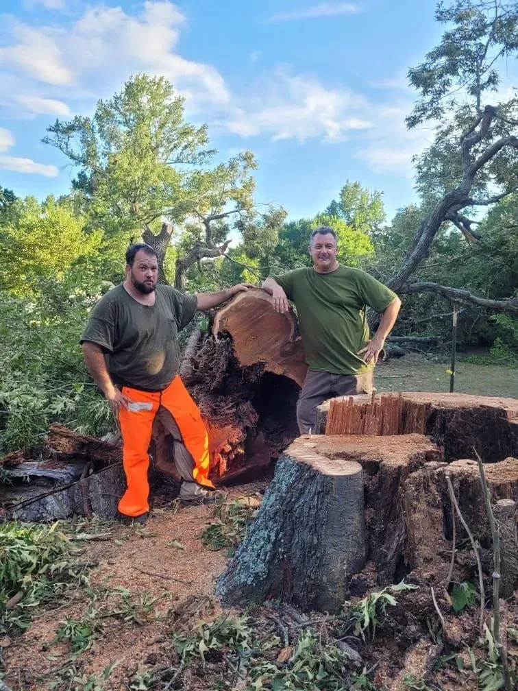 Two men standing by a fallen tree trunk and large stump in a wooded area, one in orange pants