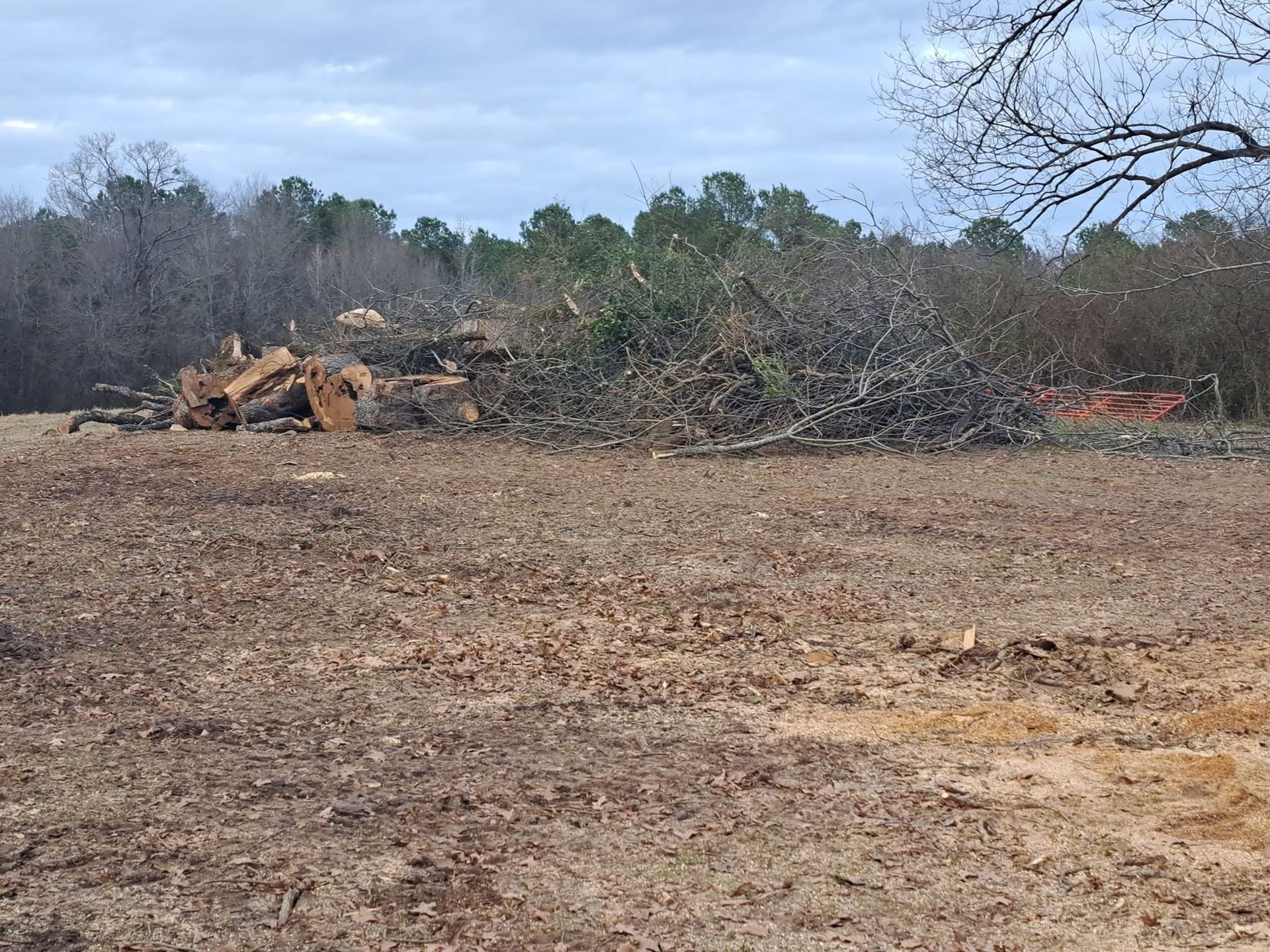Cleared dirt lot with piles of cut tree branches and logs under a cloudy sky