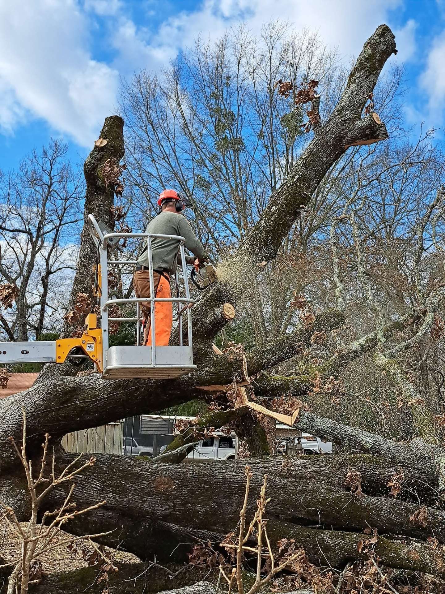 Worker in orange lift cutting large fallen tree branches under a blue sky