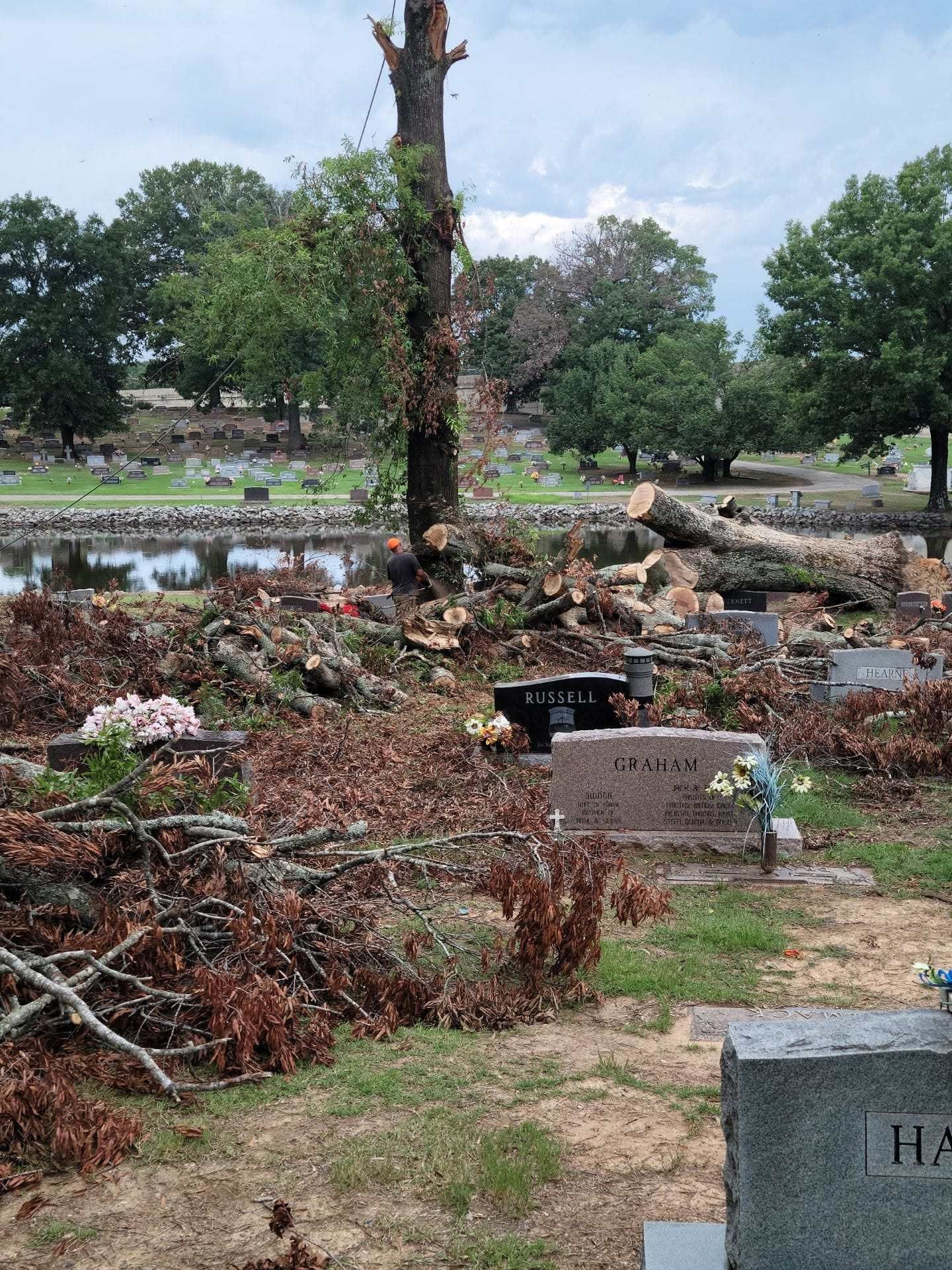 Drought-damaged cemetery with fallen branches, sparse greenery, and stone markers near a small pond